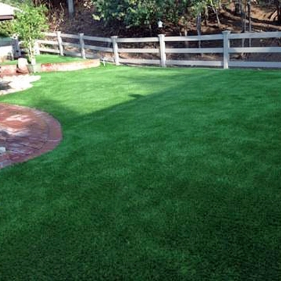 Synthetic Grass Cost Palm Aire, Florida Dogs, Backyard Garden Ideas