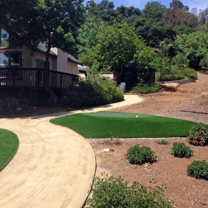 Synthetic Grass Cost Palm Springs, Florida Putting Green, Front Yard