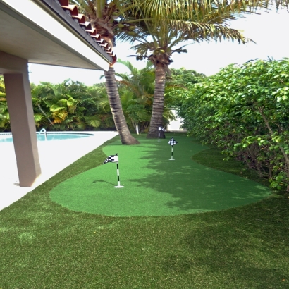 Synthetic Grass Cost River Park, Florida Landscape Rock, Small Backyard Ideas