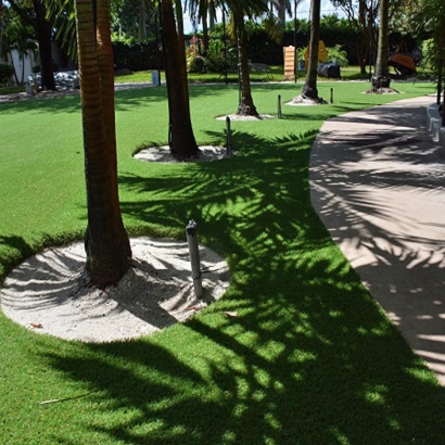 Synthetic Grass Cost Villages of Oriole, Florida Landscape Ideas, Commercial Landscape