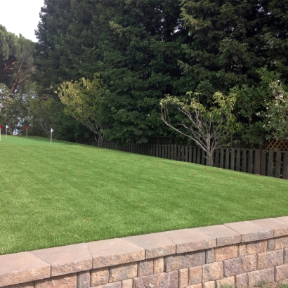 Synthetic Grass Gibsonia, Florida Putting Green Flags, Backyard Ideas