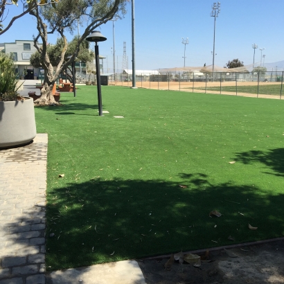 Synthetic Grass Grove City, Florida Lawn And Landscape, Parks