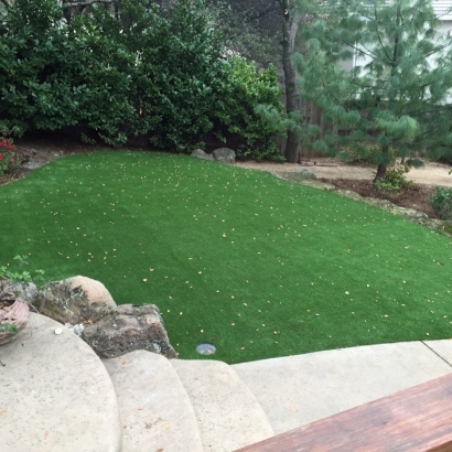 Synthetic Grass Saint Lucie, Florida Landscaping Business, Backyard Landscaping