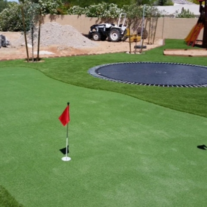 Synthetic Grass Zolfo Springs, Florida How To Build A Putting Green, Backyard Designs