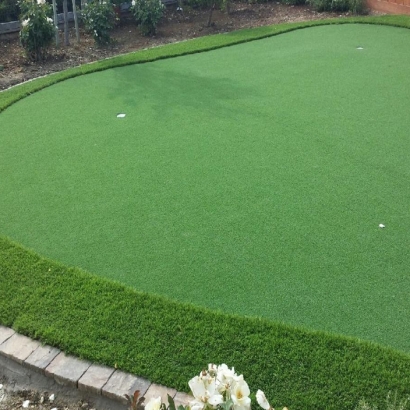 Synthetic Lawn Lake Harbor, Florida Putting Green Flags, Backyard Landscape Ideas