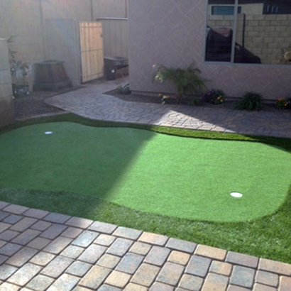 Synthetic Lawn Manalapan, Florida Landscaping, Backyard Garden Ideas