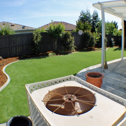 Synthetic Lawn McGregor, Florida Garden Ideas, Backyard Design