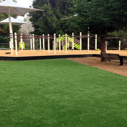 Synthetic Turf Supplier Crooked Lake Park, Florida Playground Flooring, Backyard Design