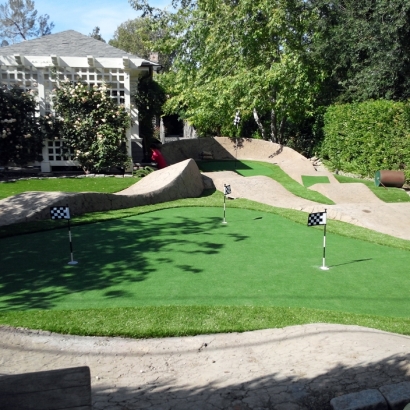 Synthetic Turf Supplier Inwood, Florida Backyard Putting Green, Beautiful Backyards