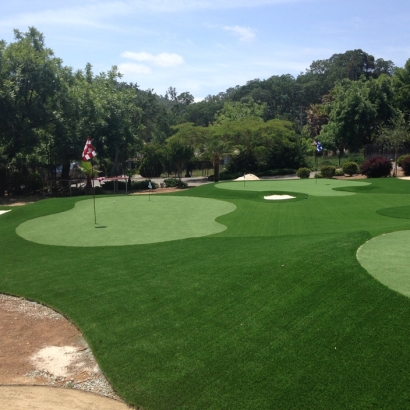 Synthetic Turf Supplier Lakeside Green, Florida Lawn And Garden, Front Yard Design