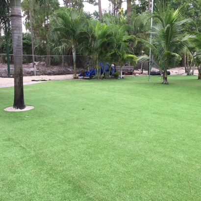 Synthetic Turf Supplier Nocatee, Florida Gardeners, Commercial Landscape