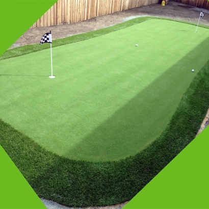 Synthetic Turf Supplier Tice, Florida Golf Green