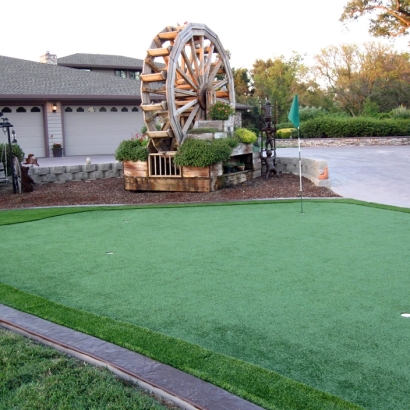 Turf Grass Frostproof, Florida Putting Green Grass, Landscaping Ideas For Front Yard