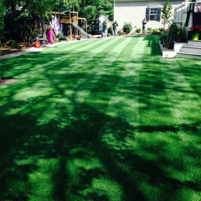 Turf Grass Limestone, Florida Gardeners, Backyards