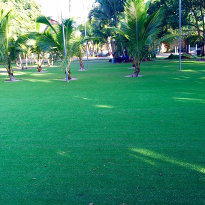 Turf Grass Matlacha, Florida Landscaping, Front Yard Design