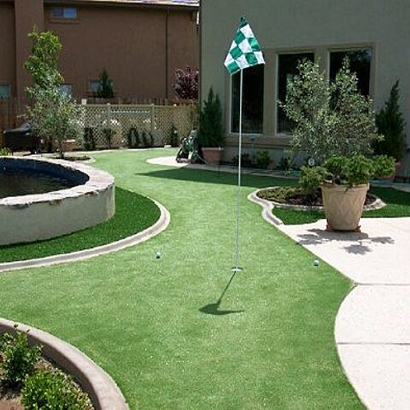 Turf Grass Palm Shores, Florida Office Putting Green, Backyard Makeover