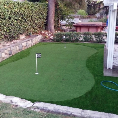 Turf Grass Riverview, Florida Putting Green Flags, Backyard Garden Ideas