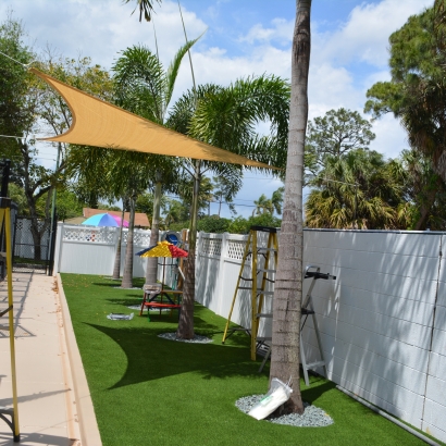 Turf Grass Wabasso Beach, Florida Pet Grass, Commercial Landscape