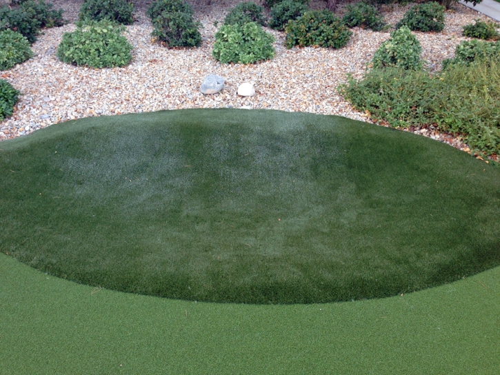 Artificial Grass Carpet Azalea Park, Florida Landscape Rock
