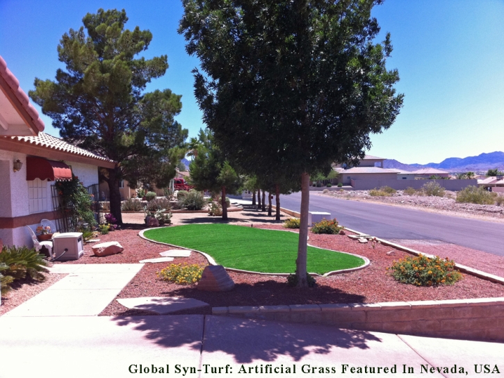 Artificial Grass Carpet Gladeview, Florida Lawn And Garden, Front Yard Landscaping Ideas