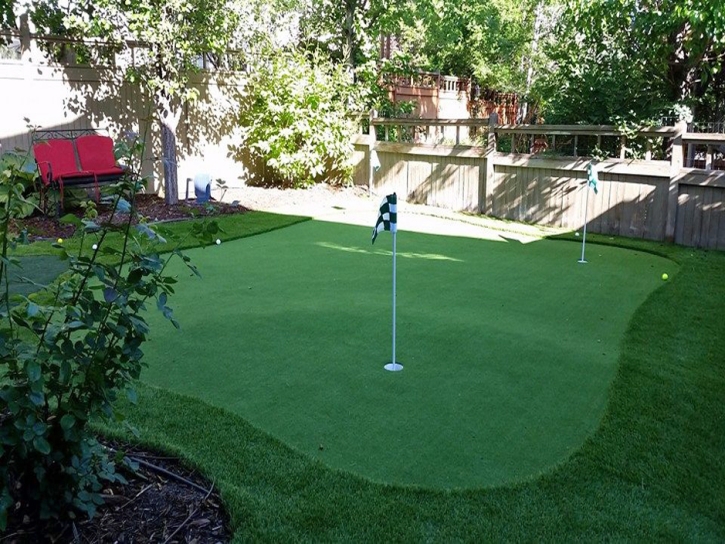 Artificial Grass Carpet Palm City, Florida Artificial Putting Greens, Backyard Designs