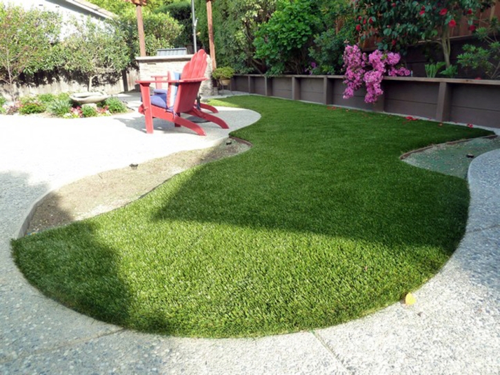 Artificial Grass Carpet Sanibel, Florida Pictures Of Dogs, Backyard Garden Ideas
