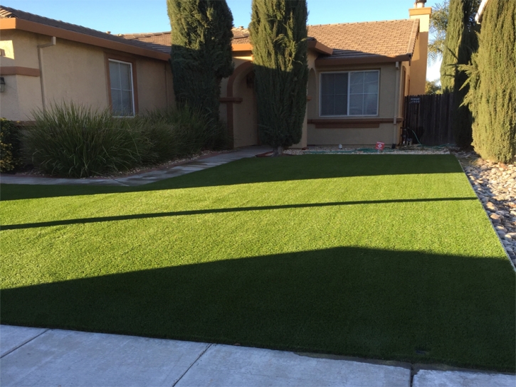 Artificial Grass Fort Myers Beach, Florida City Landscape, Landscaping Ideas For Front Yard