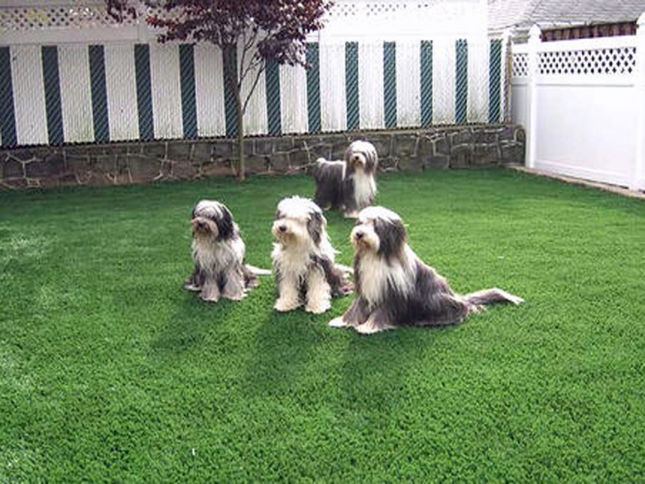 Artificial Grass Installation Gibsonton, Florida Artificial Grass For Dogs, Grass for Dogs