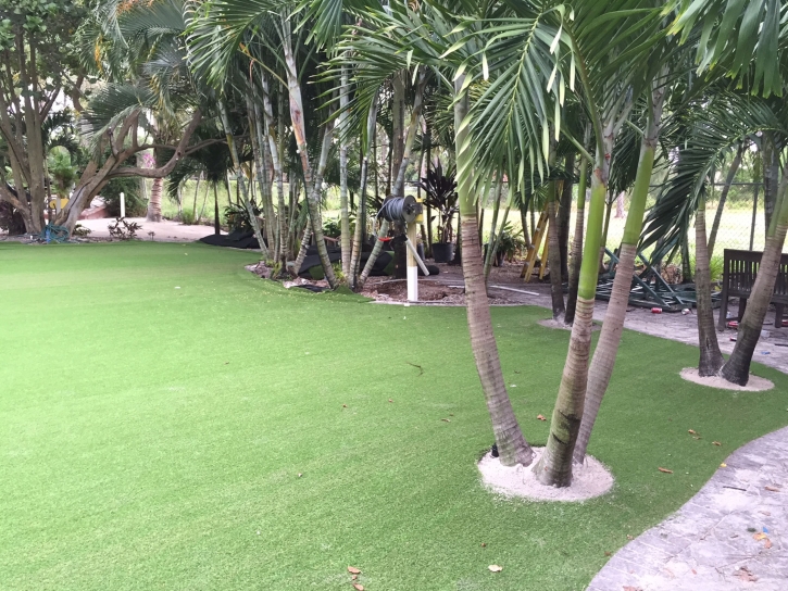Artificial Grass Installation Harbour Heights, Florida Landscaping, Commercial Landscape