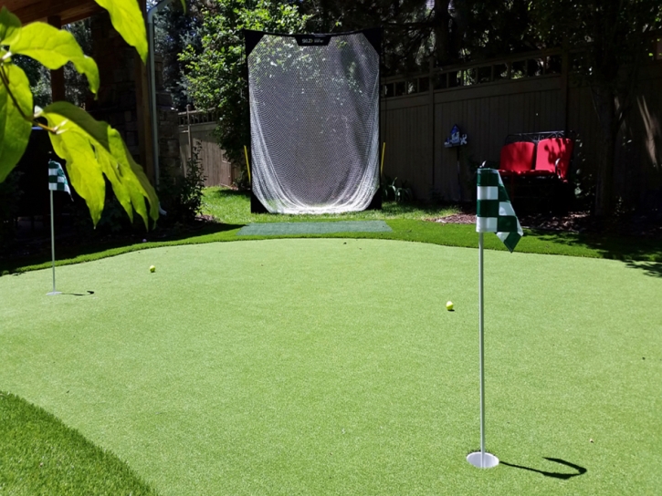 Artificial Grass Installation Orlando, Florida Lawn And Garden, Backyard Design