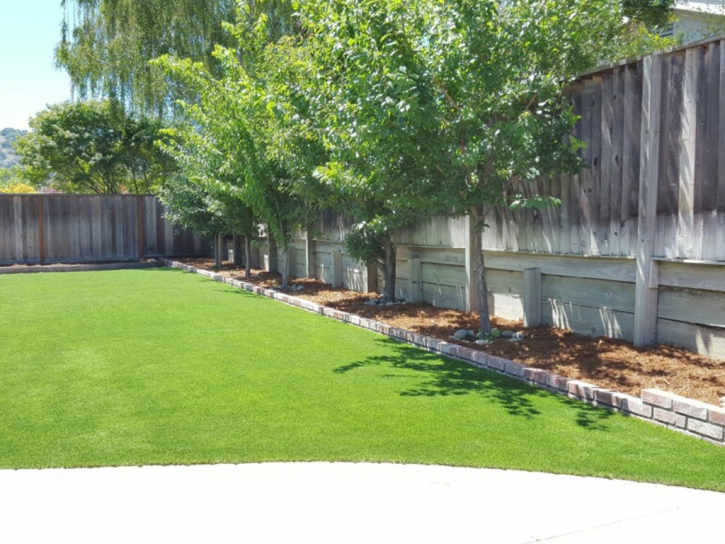 Artificial Grass Installation Wauchula, Florida Home And Garden, Commercial Landscape