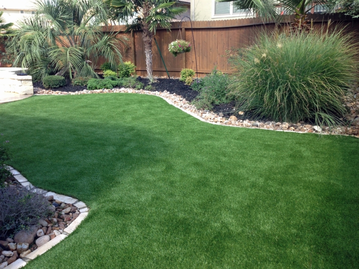 Artificial Grass Installation Yeehaw Junction, Florida Dog Running, Backyard Landscape Ideas