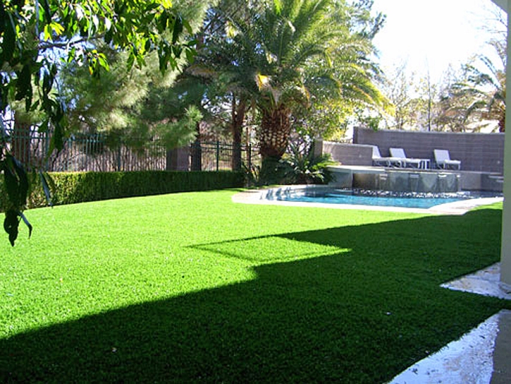 Artificial Grass Punta Rassa, Florida Design Ideas, Backyard Landscaping