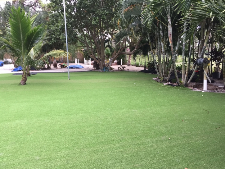 Artificial Grass Southeast Arcadia, Florida Landscaping Business, Commercial Landscape