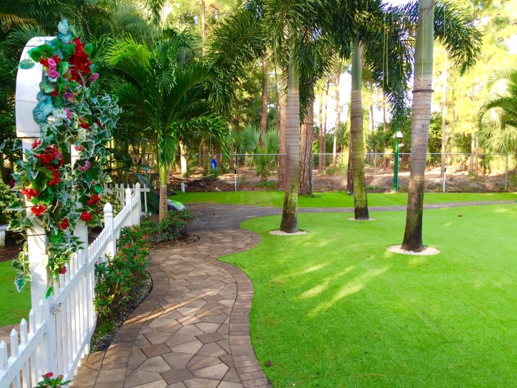 Artificial Lawn Gifford, Florida Lawn And Garden, Backyard Garden Ideas