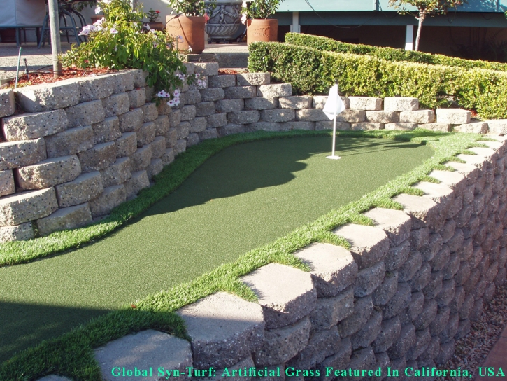 Artificial Lawn North Bay Village, Florida Outdoor Putting Green, Backyard Design