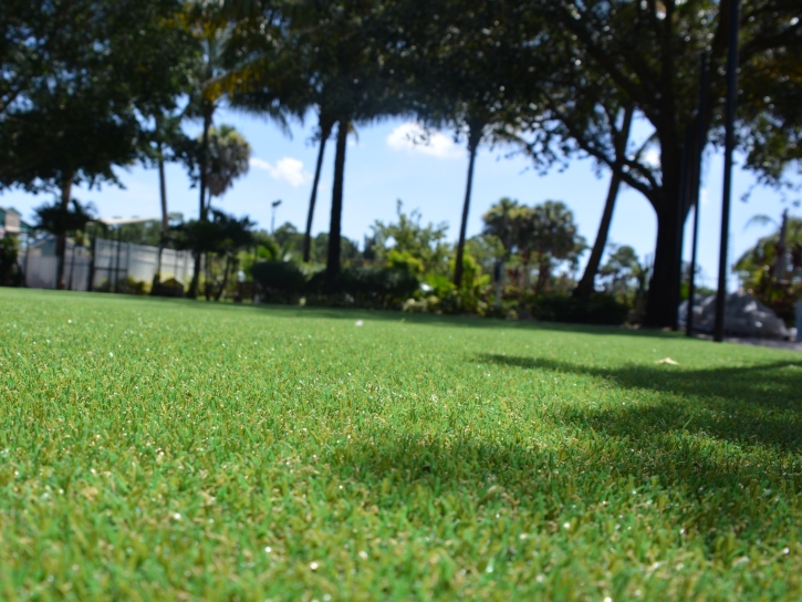 Artificial Lawn Pineland, Florida Backyard Playground, Parks