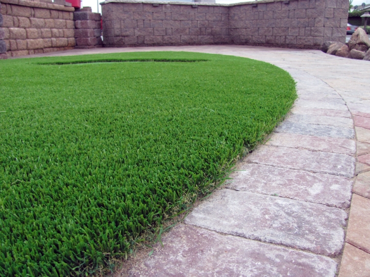 Artificial Lawn Progress Village, Florida Cat Grass, Front Yard Ideas