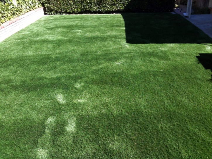 Artificial Turf Coral Gables, Florida Pet Paradise, Backyard Landscaping Ideas