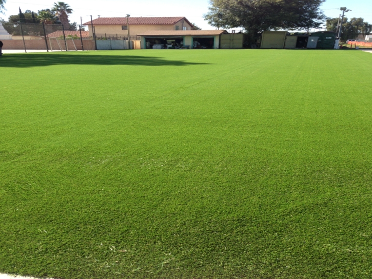 Artificial Turf Cost Goulds, Florida Roof Top, Parks