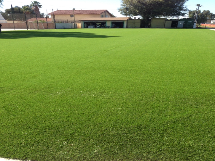 Artificial Turf Cost Goulds, Florida Roof Top, Parks