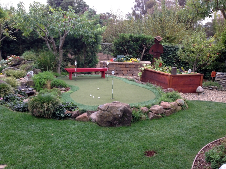 Artificial Turf Hialeah, Florida Home And Garden, Backyard Design