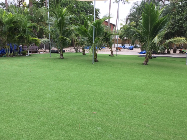 Artificial Turf Installation Gardner, Florida Garden Ideas, Commercial Landscape