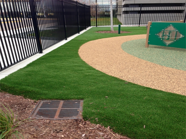 Artificial Turf Installation University Park, Florida Landscape Photos, Commercial Landscape