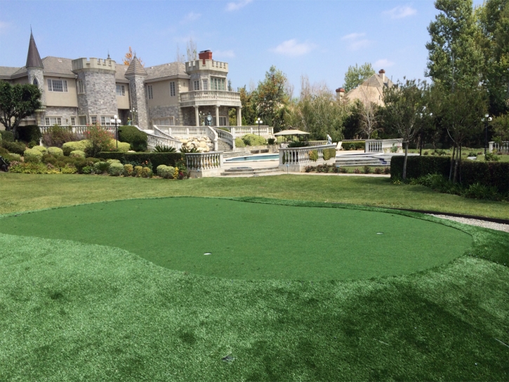 Artificial Turf Kendall, Florida Lawns, Front Yard