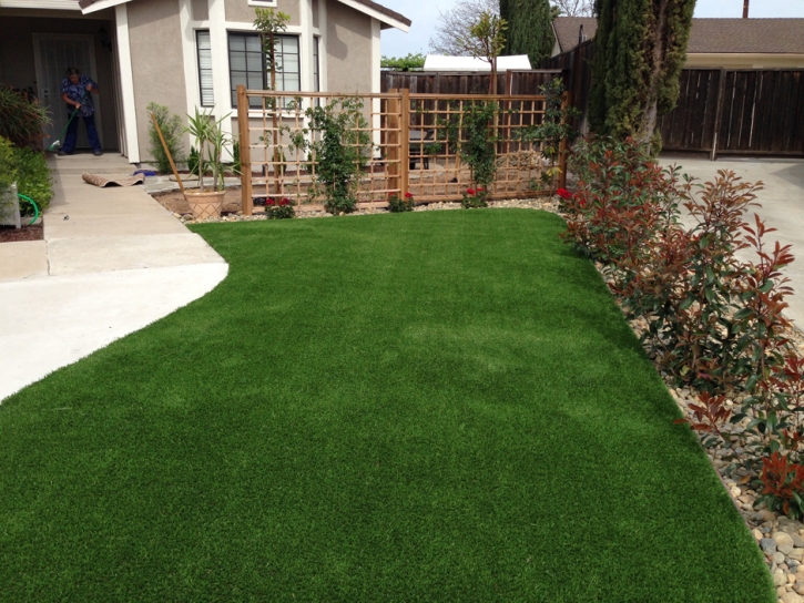 Artificial Turf Lake Placid, Florida Landscaping Business, Front Yard Landscaping