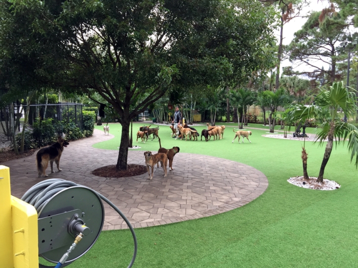 Artificial Turf Limestone Creek, Florida Lawns, Commercial Landscape