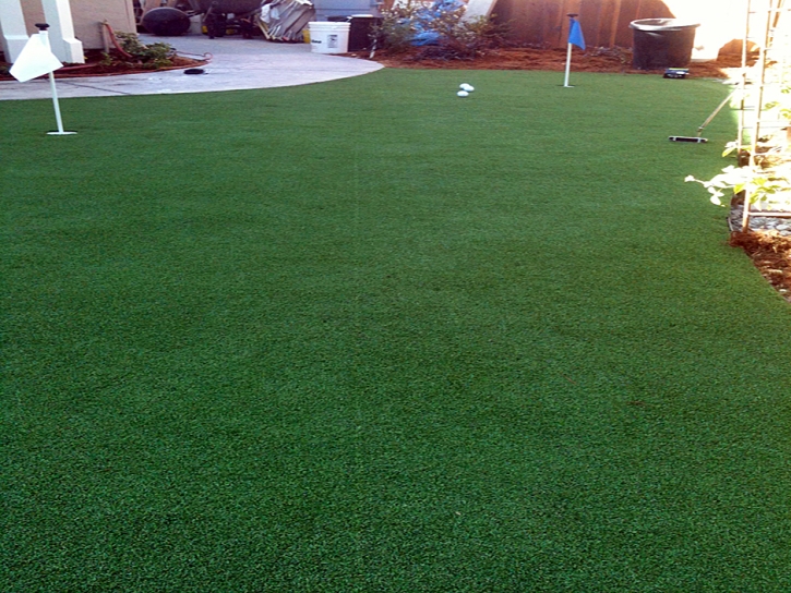 Artificial Turf Palm Springs North, Florida Diy Putting Green, Backyard Landscaping Ideas