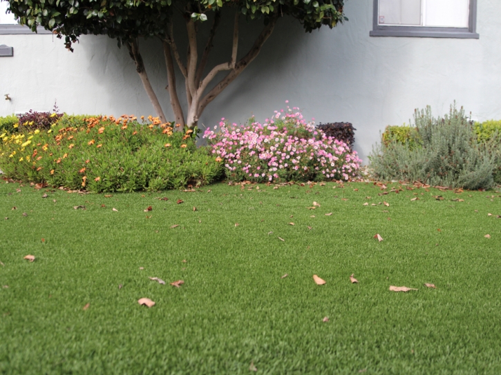 Best Artificial Grass Cypress Lake, Florida Lawn And Garden, Front Yard Landscaping