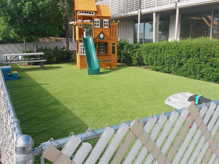 Best Artificial Grass Fort Pierce, Florida Playground, Backyards